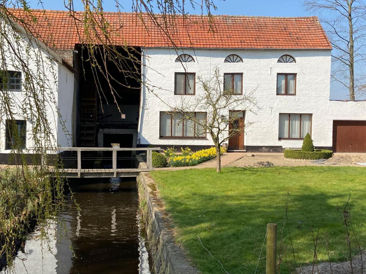 Vakantiewoning Wurfeldermolen Maaseik Exteriör bild