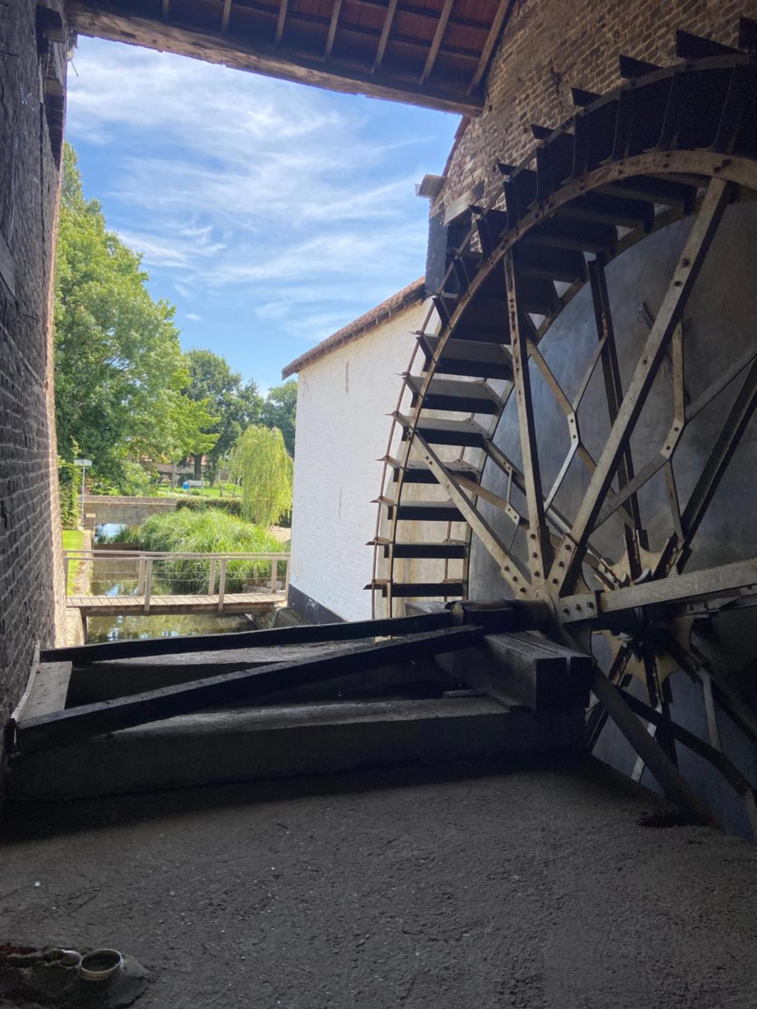 Vakantiewoning Wurfeldermolen Maaseik Exteriör bild