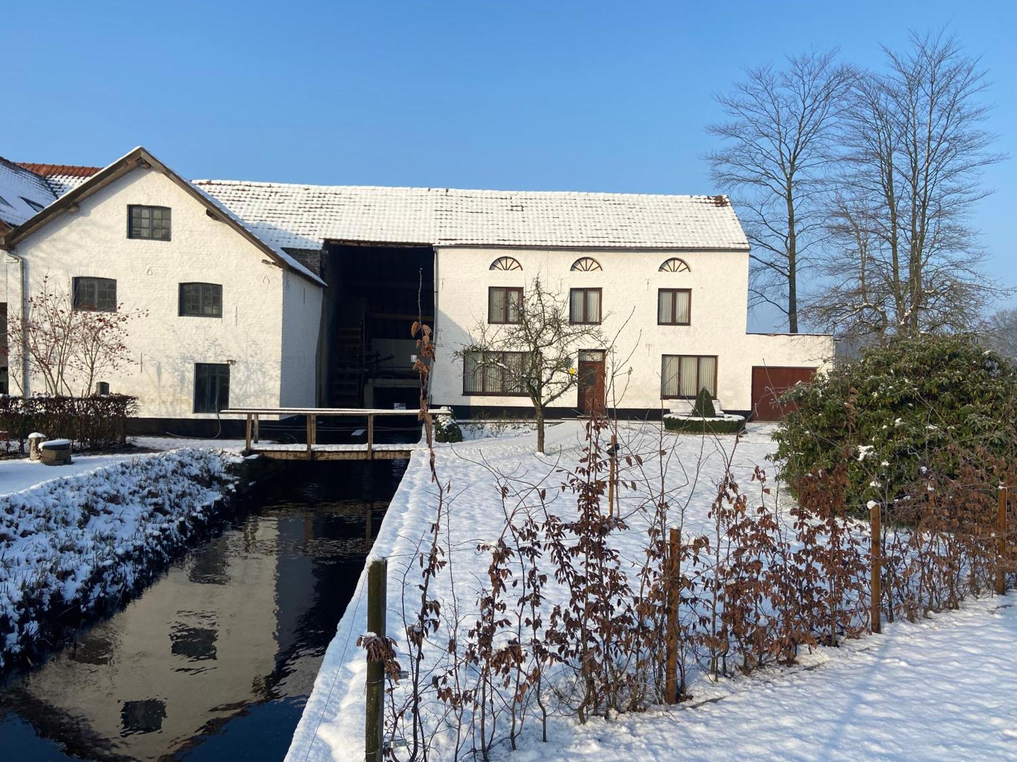 Vakantiewoning Wurfeldermolen Maaseik Exteriör bild